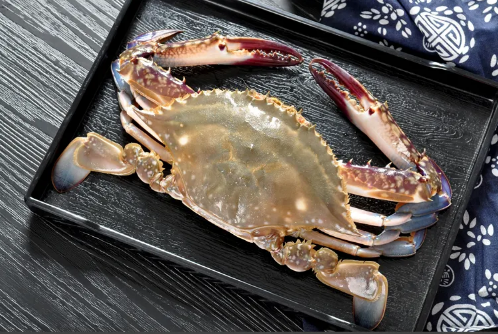 昨天买的梭子蟹今天不动了能吃吗