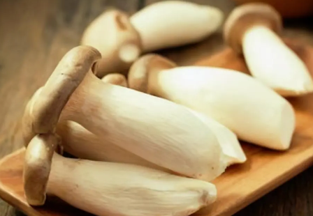 杏鲍菇切成片焯水吗