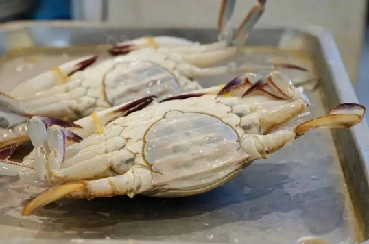 梭子蟹为什么没有蟹黄