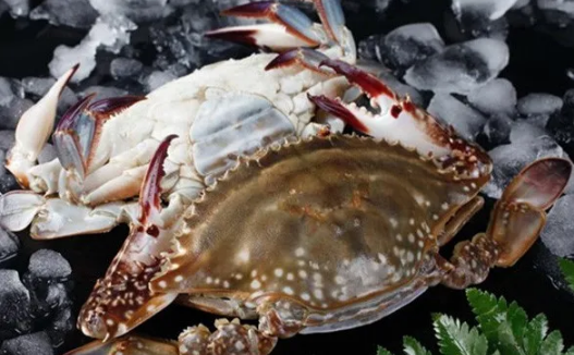 梭子蟹为什么没有蟹黄