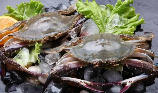 梭子蟹半斤一只大不大