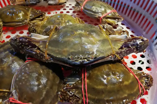 梭子蟹半斤一只大不大