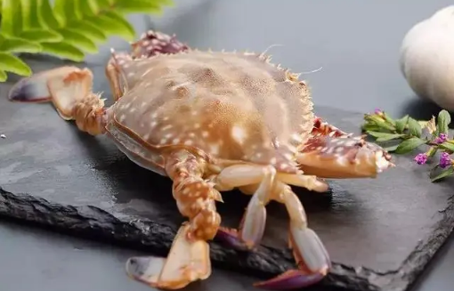 梭子蟹什么颜色是肥的