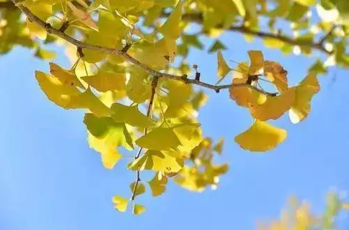 2022年国庆节温度高还是低