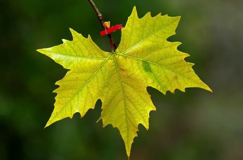 2022年国庆节穿长袖还是短袖