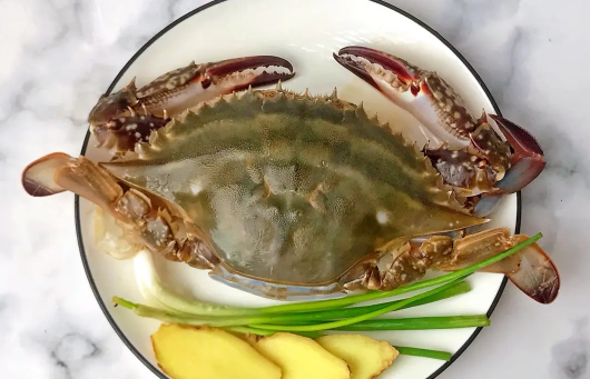 冻梭子蟹怎么分辨坏没坏