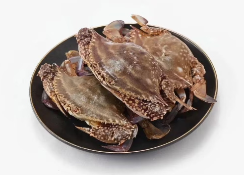 梭子蟹洗好后可以放冰箱冷藏吗