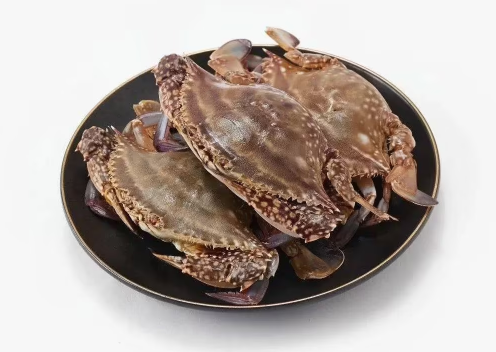 网上买梭子蟹是活的还是死的