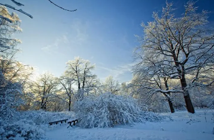 2023年冬季预测冷还是暖