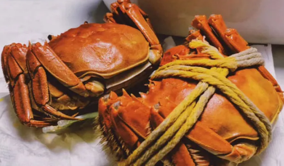 清水煮螃蟹煮5分钟能吃吗