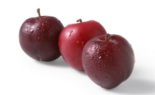 李子空心有棕色结晶是什么