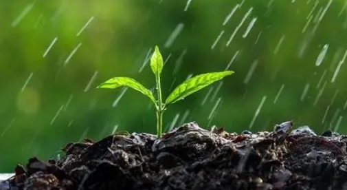 2022深圳10月份雨水多吗