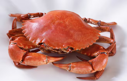 青蟹直接蒸可以吗有营养吗