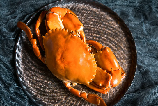 青蟹是梭子蟹的一种吗