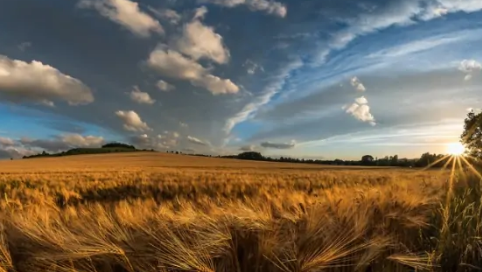 2022河南冬天是湿冷还是干冷