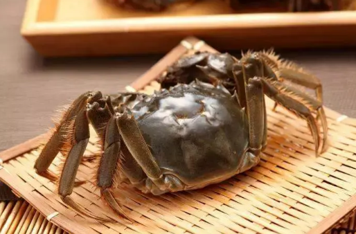 螃蟹冷冻多久就不能吃了