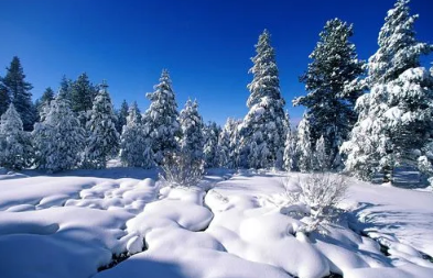 2022青岛冬天是旅游淡季还是旺季