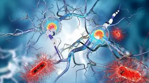 化疗会让女人更快衰老吗