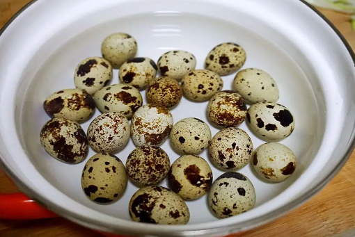 鹌鹑蛋和鸡蛋哪个小孩吃了好