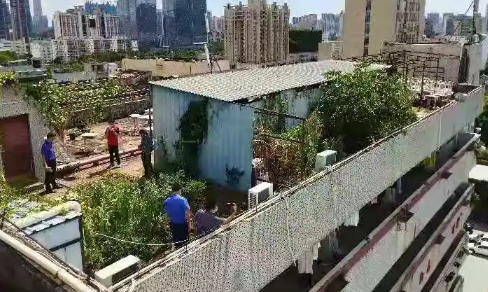 楼顶为什么不能种菜