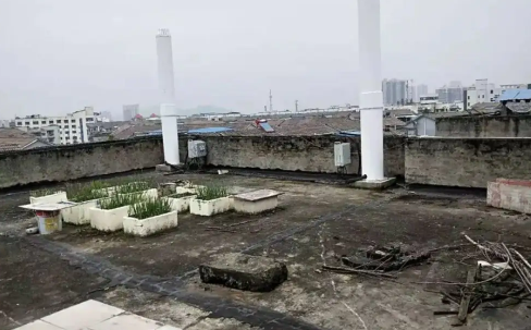 楼顶为什么不能种菜