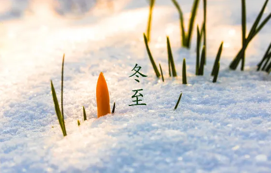 立冬和冬至是一回事儿吗