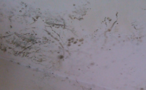 板楼的房子漏雨吗