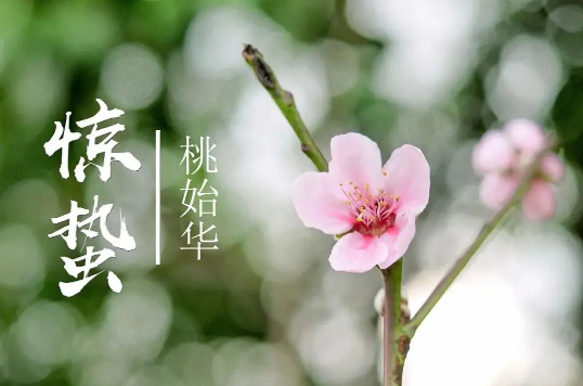 惊蛰节气的特点和风俗