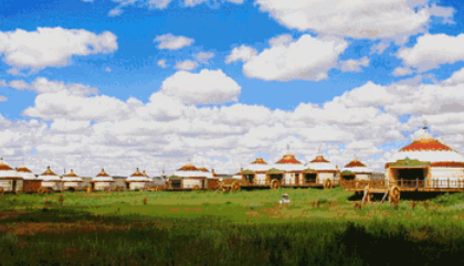 羊了个羊第二关过了第三关在哪