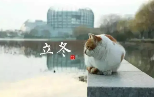 2022年立冬天坑在哪个方位