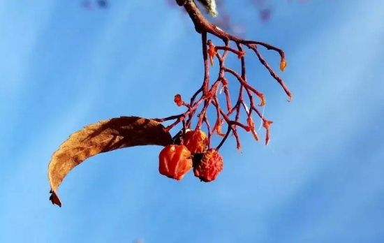 2022年立冬天坑在哪个方位