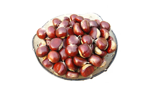 生板栗常温下可以保存多久