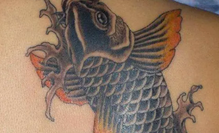 鲤鱼可以随便纹吗