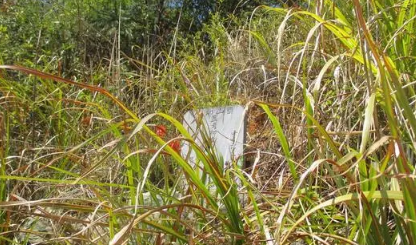 墓碑上刻什么图案好