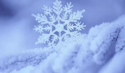 2022年冬至会不会下雪