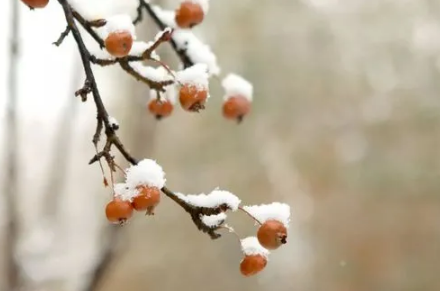 2022冬至上坟的是前三天还是后三天