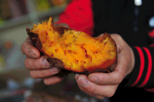 烤红薯和蒸红薯的热量是一样的吗