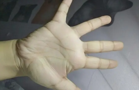 女人手胖有福还是手瘦有福