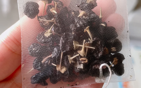 喝黑枸杞三个月以上皮肤变化吗