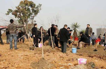 霜降以后还能种树吗