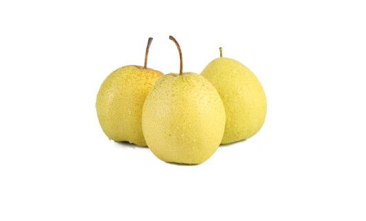 雪花梨含糖量高吗