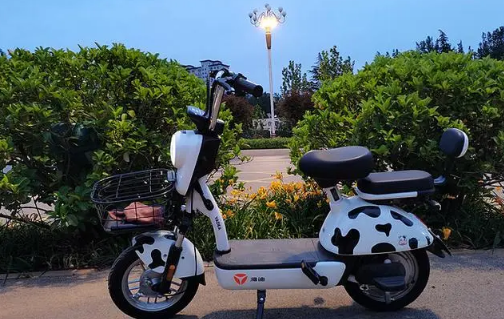 2022实体店双十一电动车有优惠吗