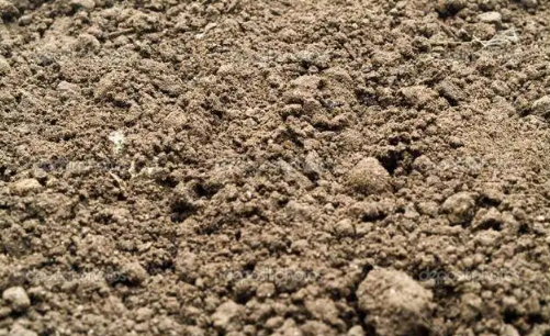 科学家证明吃土可治疗肠炎是真的吗