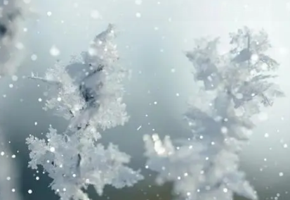 2022年立冬属什么