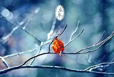 2022年立冬属什么