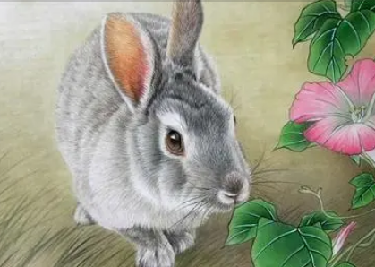 2022年腊月出生的宝宝怎么算属相