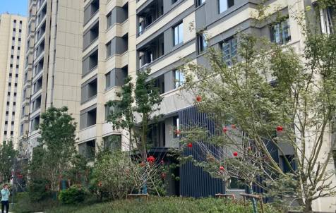 房子没交房是不是业主的呢