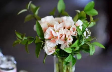 网上买的鲜花先去叶子还是先醒花