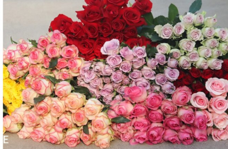 网上买的鲜花醒花后需要再剪根部吗