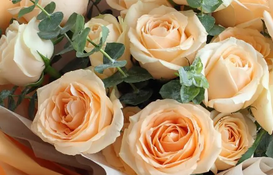 网上买的鲜花要醒花多久